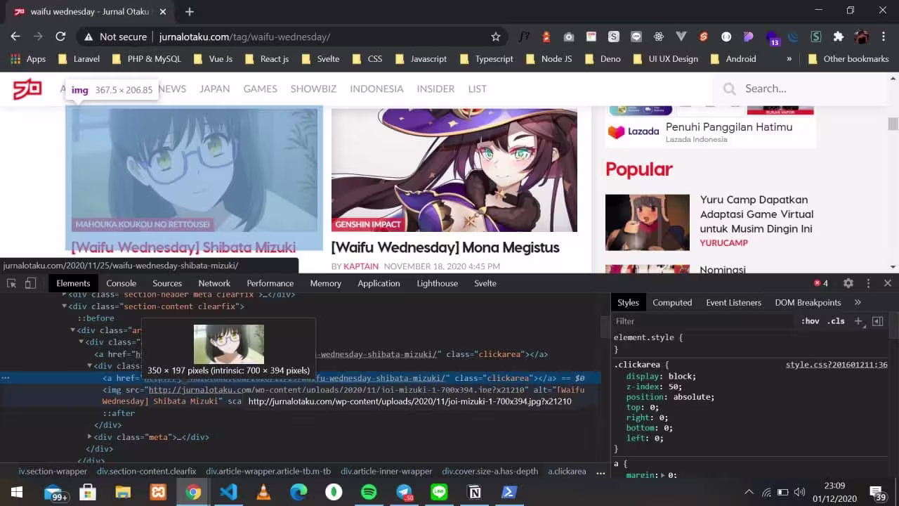 SS DOM HTML inspect element